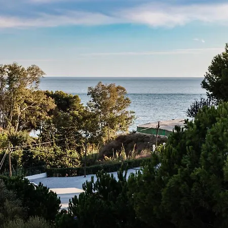 Nisperos * Algarrobo Costa